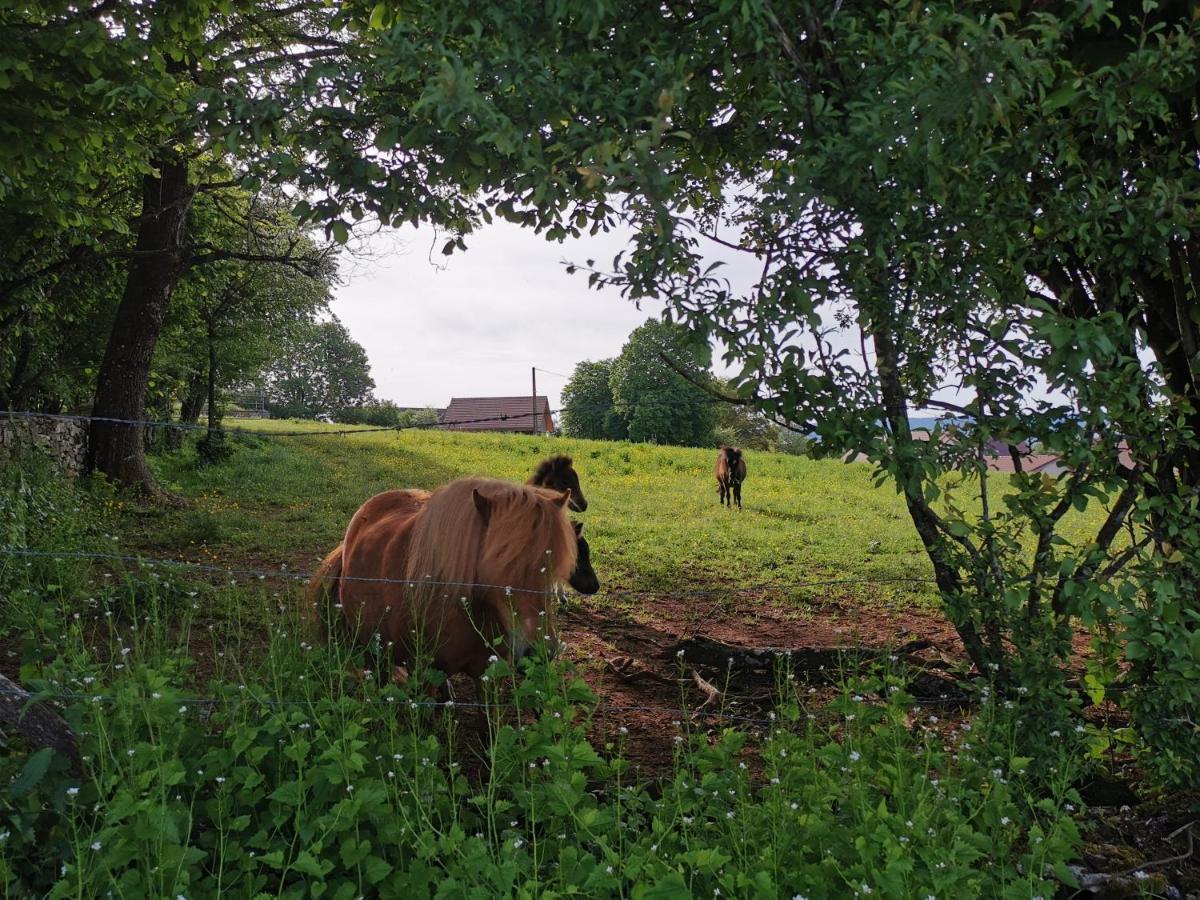 Gite Du Colombier Le Fied Eksteriør bilde